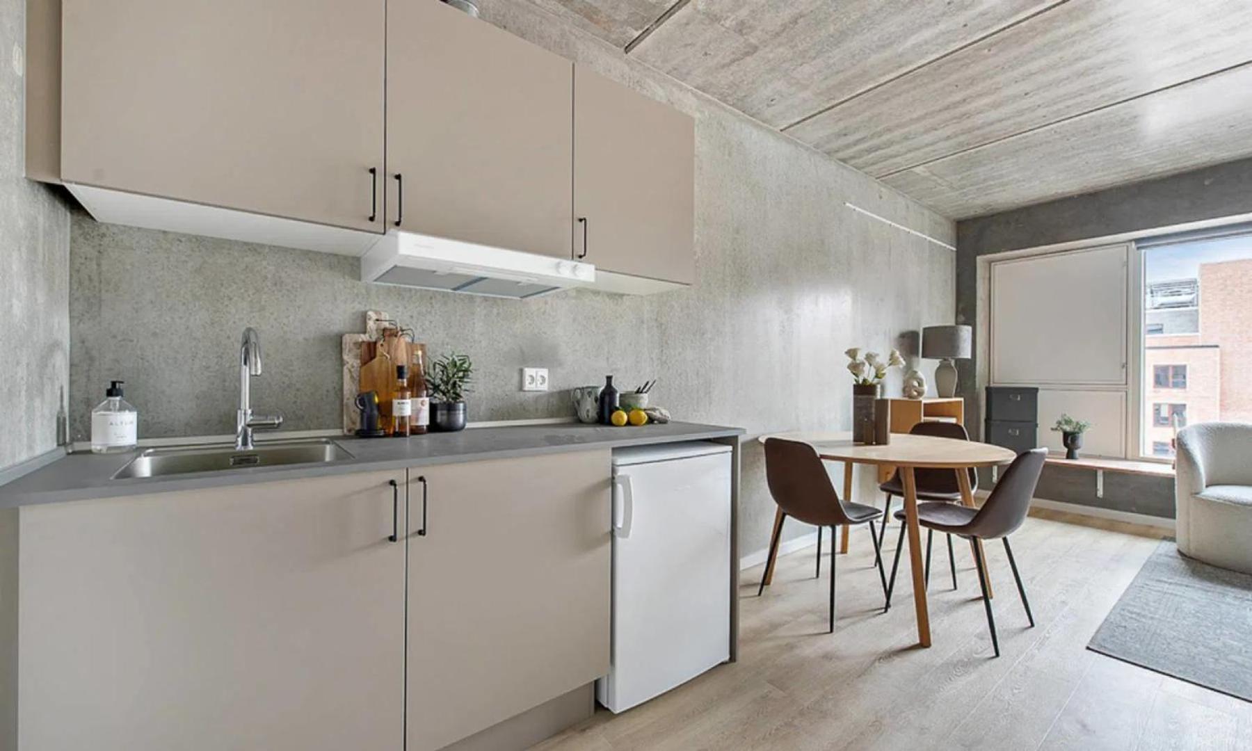 Lägenhet Tastefull And Modern Köpenhamn